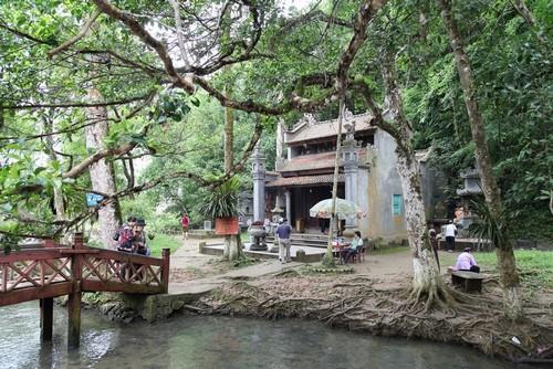 Đến thờ Rắn nằm ngay cạnh cửa hang suối cá Cẩm Lương,​Suối Cá thần là tên gọi của một số dòng suối ở miền núi phía tây tỉnh Thanh Hoá, nơi có những đàn cá tập trung sinh sống với mật độ dày đặc, được đồng bào dân tộc Mường, Thái ở địa phương gìn giữ và đã trở thành những danh lam thắng cảnh khá nổi tiếng. Ở đây có các suối cá như: Suối cá Cẩm Lương, suối cá Cẩm Liên, suối cá thị xã Văn Nho.