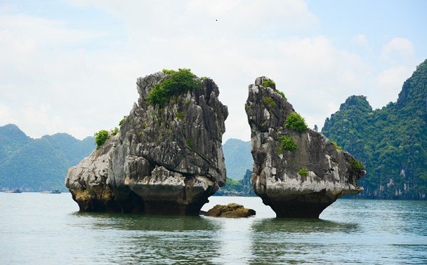 Hòn trống mái (Hòn gà chọi),Vịnh Hạ Long (Quảng Ninh),Vịnh Hạ Long,Hạ Long bay,Hạ Long - Quảng Ninh,Quảng Ninh