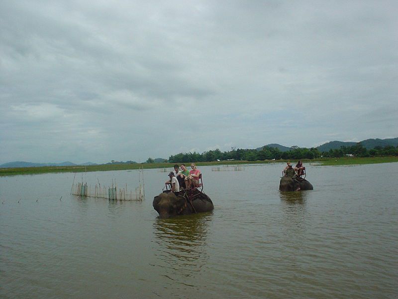 Voi đưa du khách đi tham quan hồ,Hồ Lắk (Huyện Lắk - Tỉnh Đắk Lắk),Hồ Lắk,Hồ Lắk là một hồ nước ngọt tự nhiên lớn nhất tỉnh Đăk Lăk