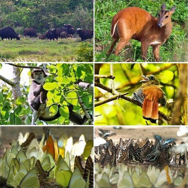 Vườn quốc gia Cát Tiên,Nam Cát Tiên
