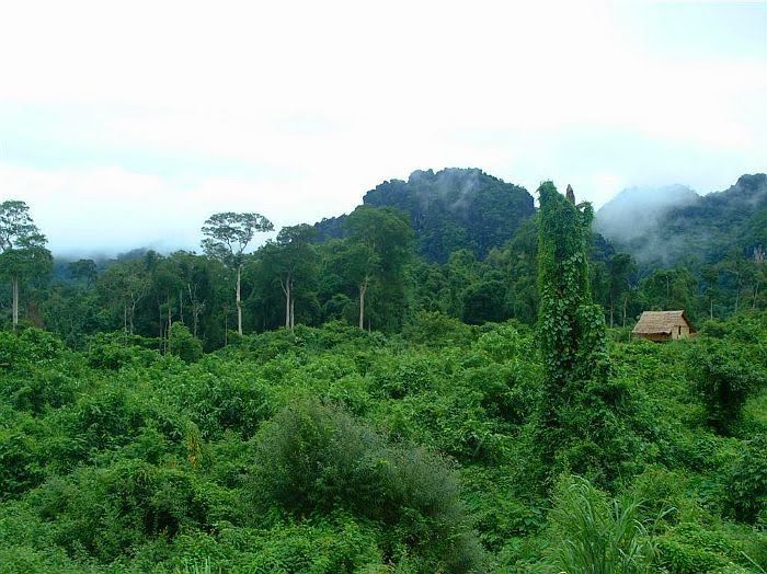Vườn quốc gia Cát Tiên,Nam Cát Tiên
