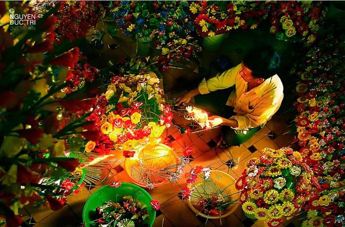 Làng hoa giấy Thanh Tiên (Phú Mậu - Phú Vang - Thừa Thiên Huế),Làng hoa giấy Thanh Tiên,Làng hoa giấy