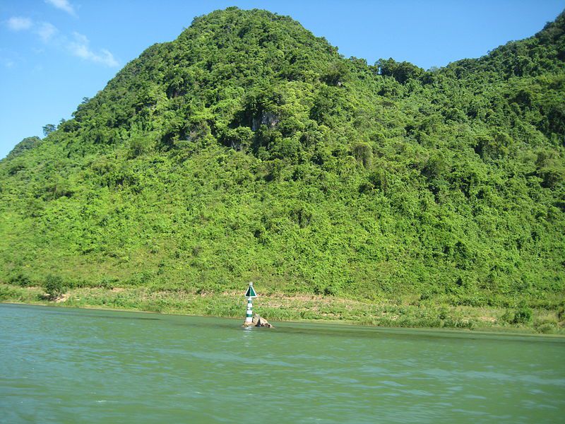 Thực vật trên núi đá vôi, dạng thực vật điển hình tại vườn quốc gia Phong Nha - Kẻ Bàng,Vườn quốc gia Phong Nha - Kẻ Bàng,Di sản thiên nhiên thế giới - Vườn quốc gia Phong Nha - Kẻ Bàng,Phong Nha - Kẻ Bàng