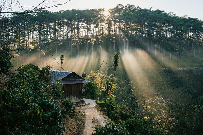 Đà Lạt - Thành phố mộng mơ,Thành phố Đà Lạt,Đà Lạt - Lâm Đồng,Thành phố Đà Lạt tỉnh Lâm Đồng