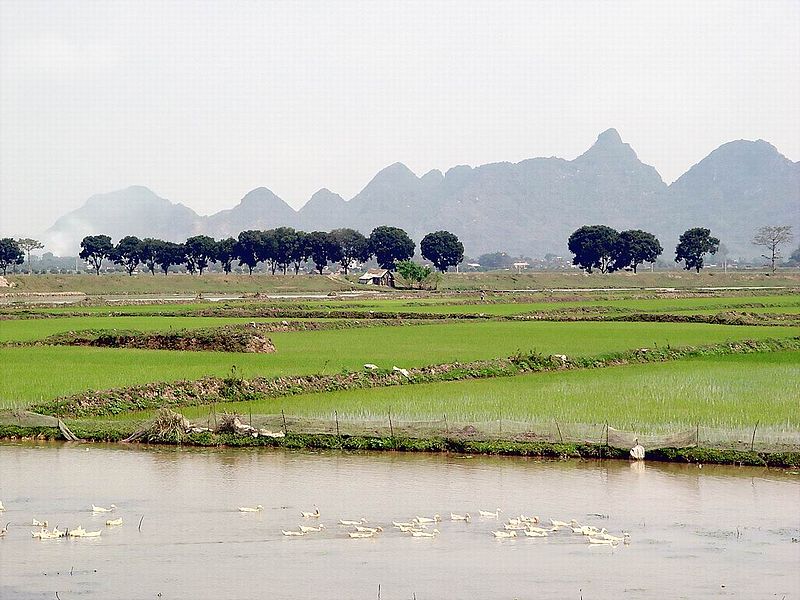 Chùa Hương - Hà Nội,Chùa Hương,Hương Sơn,Quần thể chùa Hương,Lễ hội chùa Hương,Du lịch chùa Hương