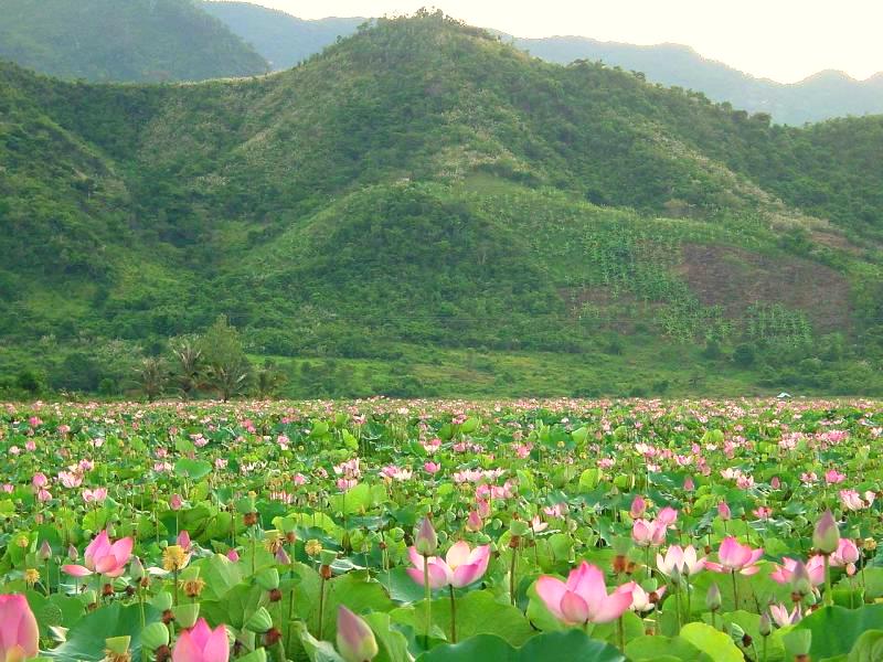 Hồ Quan Sơn - Mỹ Đức