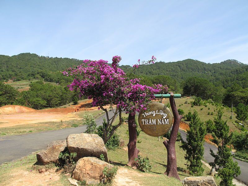 Thung lũng trăm năm,Núi Langbiang,Langbiang - Lâm Đồng