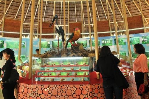 Vườn quốc gia Tràm Chim (Tam Nông - Đồng Tháp),Vườn quốc gia Tràm Chim - Đồng Tháp,Vườn quốc gia Tràm Chim