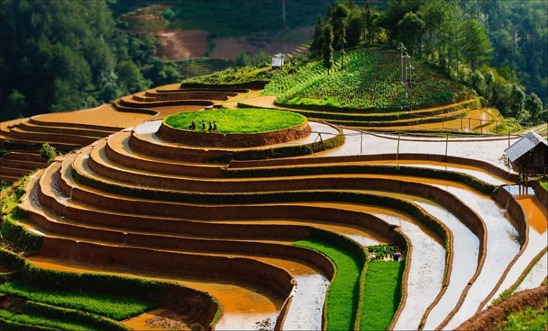Ruộng bậc thang
