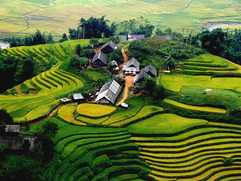 Ruộng bậc thang