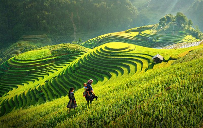 Ruộng bậc thang
