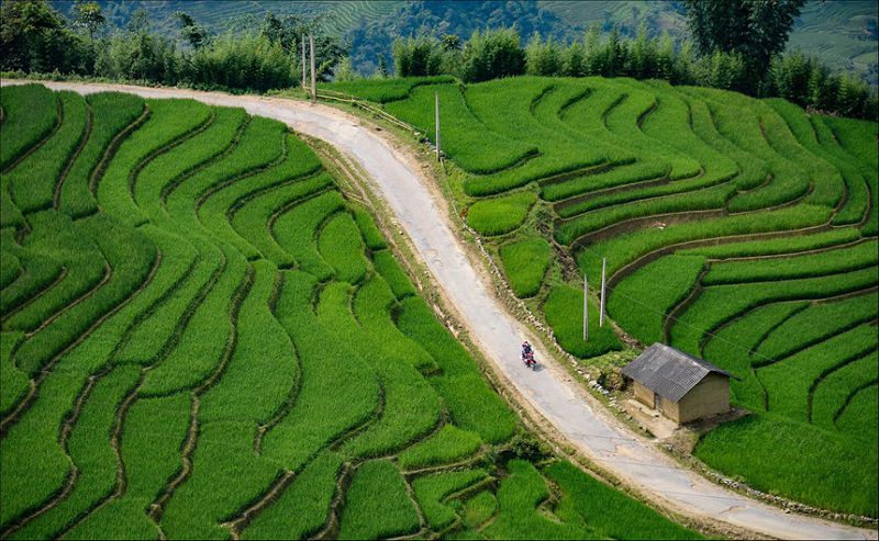 Ruộng bậc thang