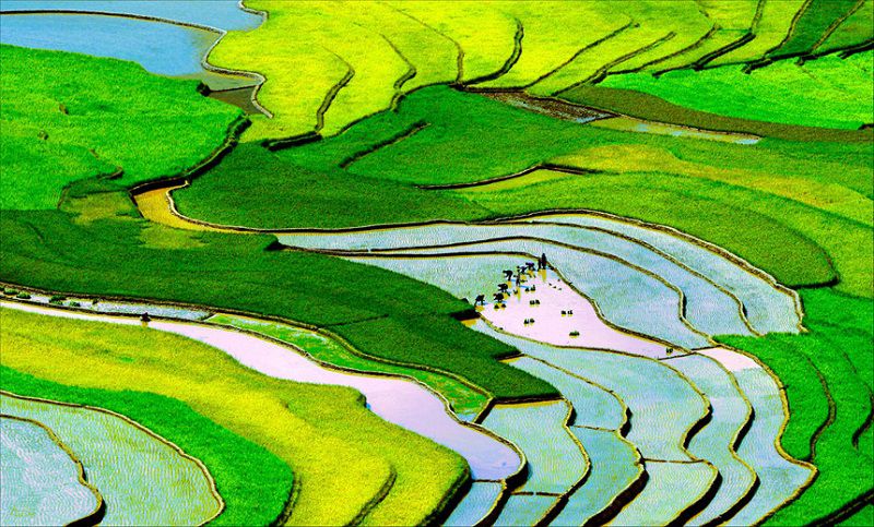 Ruộng bậc thang