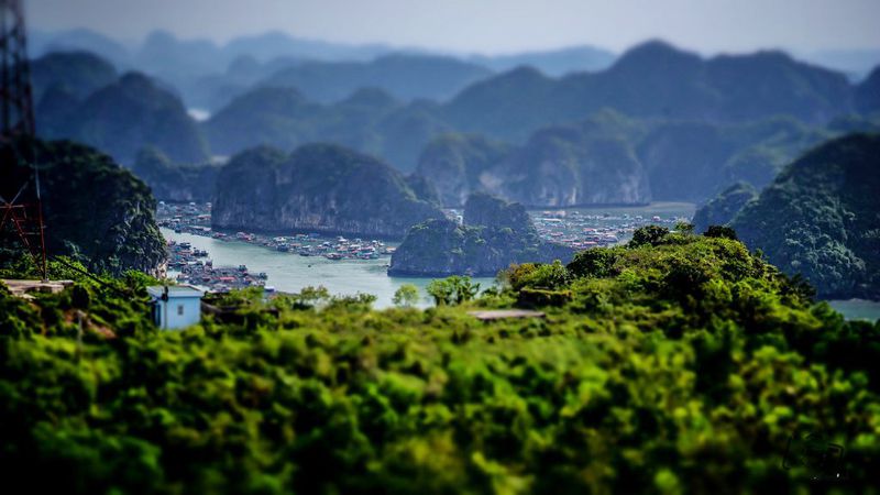 Vịnh Lan Hạ