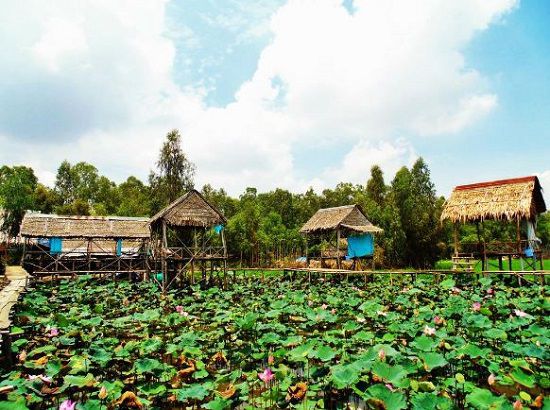 Khám phá cảnh sắc miệt vườn Đồng Sen Gò Tháp (Tháp Mười - Đồng Tháp),Đồng Sen Gò Tháp,Đồng Sen Gò Tháp - Tháp Mười - Đồng Tháp
