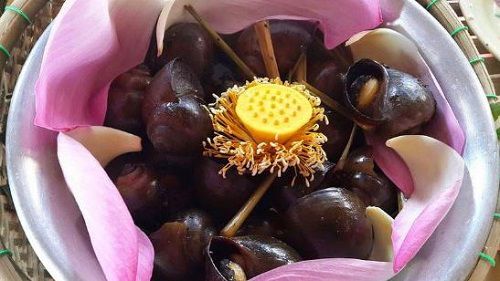 Ốc bưu hấp tiêu gói hoa sen