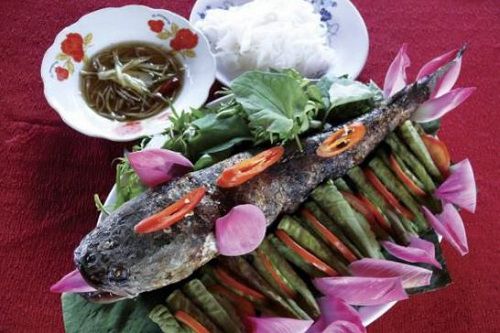 Khám phá cảnh sắc miệt vườn Đồng Sen Gò Tháp (Tháp Mười - Đồng Tháp),Đồng Sen Gò Tháp,Đồng Sen Gò Tháp - Tháp Mười - Đồng Tháp