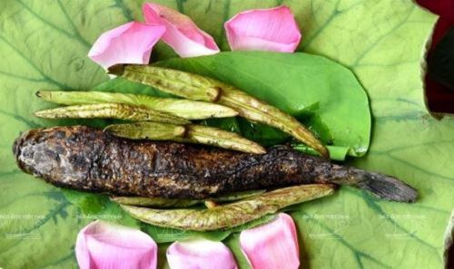 Khám phá cảnh sắc miệt vườn Đồng Sen Gò Tháp (Tháp Mười - Đồng Tháp),Đồng Sen Gò Tháp,Đồng Sen Gò Tháp - Tháp Mười - Đồng Tháp