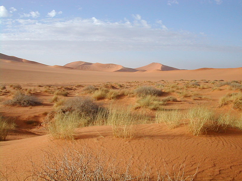 Sa mạc Sahara