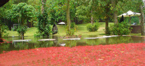 Flamingo Đại Lải