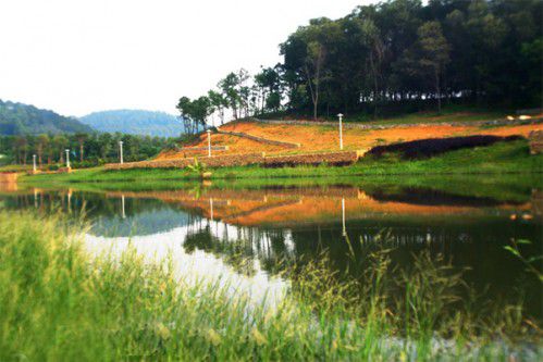 Flamingo Đại Lải