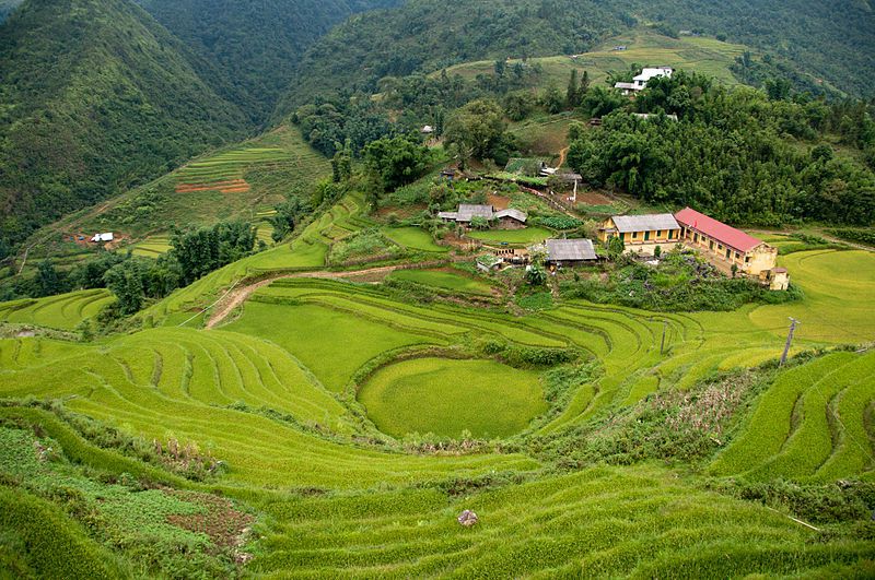 Ruộng bậc thang tại Sa Pa