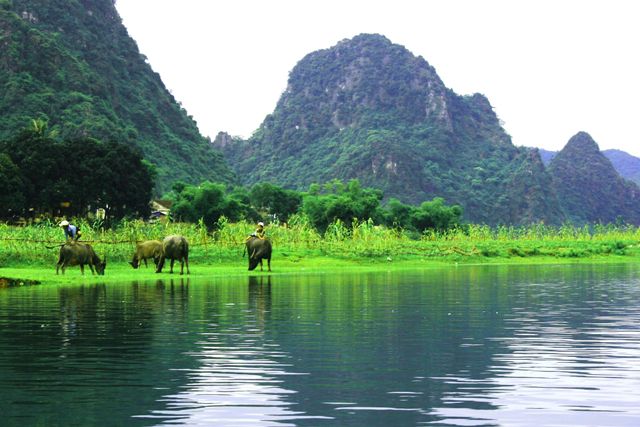 Phong cảnh hữu tình hai bên dòng sông Son trên hành trình đến động Phong Nha