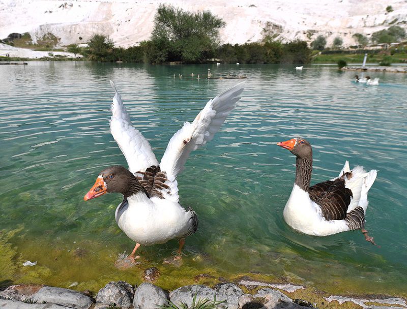Pamukkale - Lâu đài bông ở Thổ Nhĩ Kỳ,Pamukkale - Thổ Nhĩ Kỳ,Pamukkale,Denizli - Thổ Nhĩ Kỳ,Lâu đài bông,Lâu đài bông ở Thổ Nhĩ Kỳ