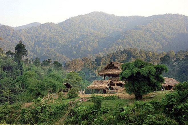Vườn quốc gia Pù Mát