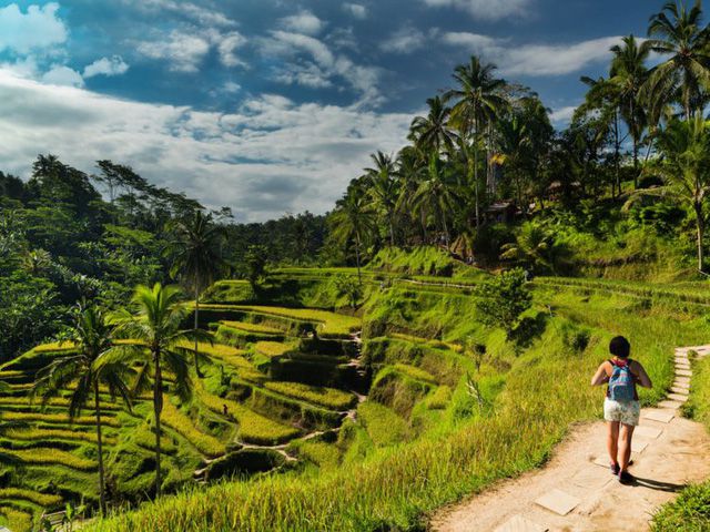 Ruộng bậc thang Tegalalang, Indonesia
