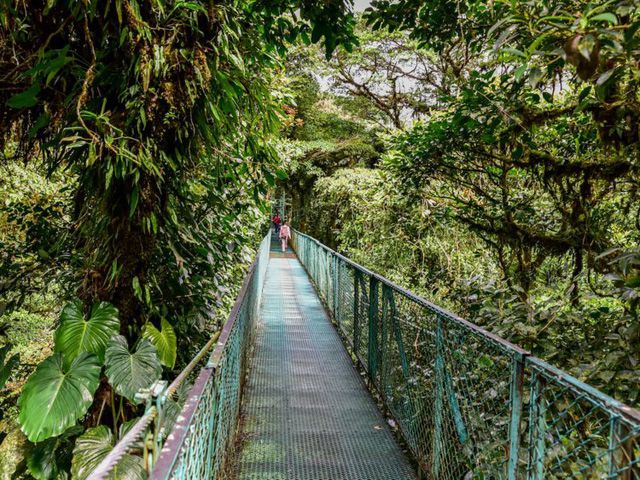 Rừng Mây Monteverde, Costa Rica