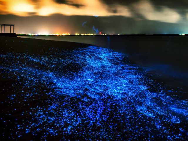 Bãi biển “ngàn sao”, Maldives