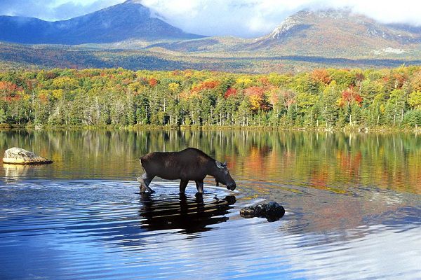 Vườn quốc gia và khu bảo tồn Denali (Alaska - Hoa Kỳ),Công viên quốc gia Denali,Vườn quốc gia Denali,khu bảo tồn Denali