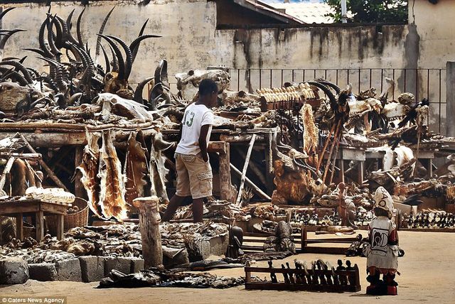 Chợ Akodessewa Fetish, Lomé, Togo