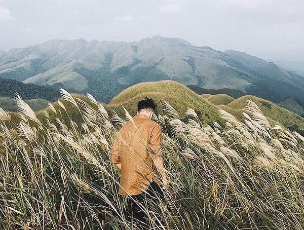 Mùa hoa cỏ lau ở Bình Liêu - Quảng Ninh,Bình Liêu mùa hoa cỏ lau,Hoa cỏ lau,Bình Liêu - Quảng Ninh