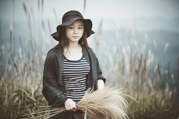 Mùa hoa cỏ lau ở Bình Liêu - Quảng Ninh,Bình Liêu mùa hoa cỏ lau,Hoa cỏ lau,Bình Liêu - Quảng Ninh
