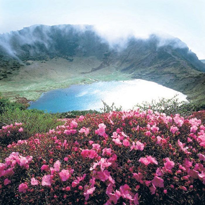 Đảo Núi lửa Jeju và Hệ thống Ống Dung nham ở Hàn Quốc,Đảo Jeju Hàn Quốc,Đảo Jeju