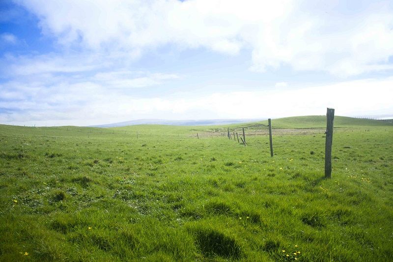 Vách đá Moher (Cộng hòa Ireland),Vách đá Moher,Các vách đá của mohair
