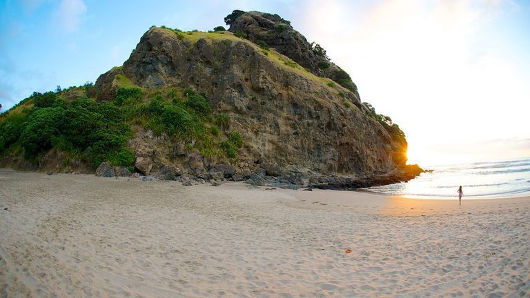 Bãi biển Piha (New Zealand),Bãi biển Piha,Piha Beach - New Zealand,Piha Beach,New Zealand