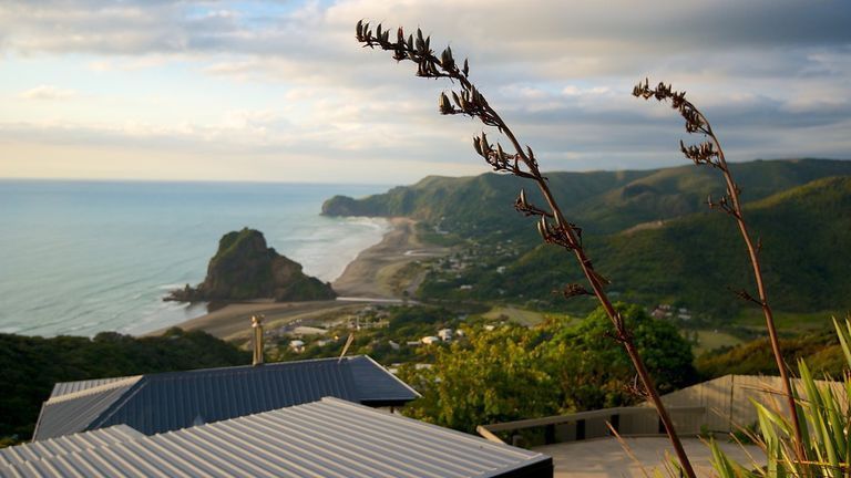 Bãi biển Piha (New Zealand),Bãi biển Piha,Piha Beach - New Zealand,Piha Beach,New Zealand