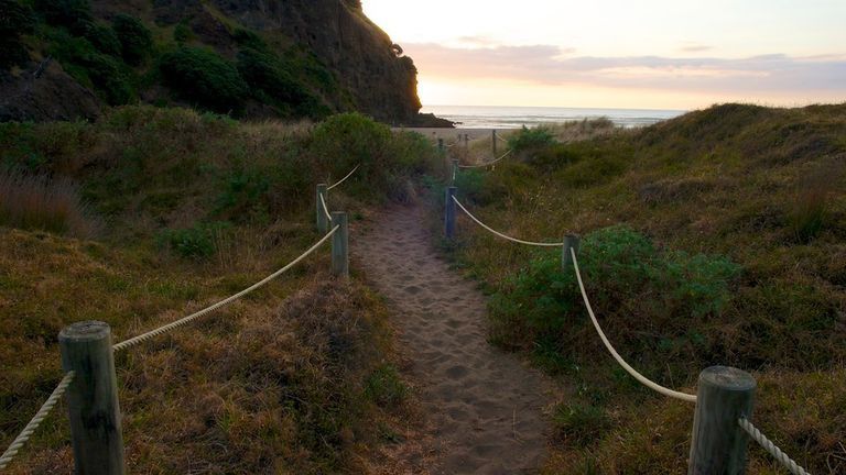 Bãi biển Piha (New Zealand),Bãi biển Piha,Piha Beach - New Zealand,Piha Beach,New Zealand