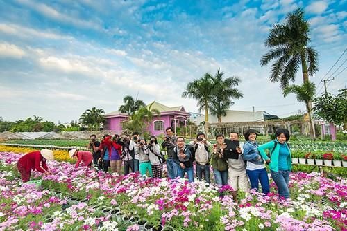 Làng hoa Sa Đéc (Đồng Tháp),Làng hoa Sa Đéc,Du lịch Đồng Tháp