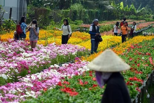 Làng hoa Sa Đéc (Đồng Tháp),Làng hoa Sa Đéc,Du lịch Đồng Tháp