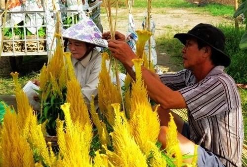Làng hoa Sa Đéc (Đồng Tháp),Làng hoa Sa Đéc,Du lịch Đồng Tháp