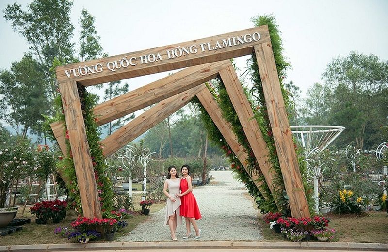 Lễ hội Hoa hồng 2019 tại Đại Lải - Vĩnh Phúc,Lễ hội Hoa hồng 2019,Lễ hội hoa hồng,Flamingo Đại Lải