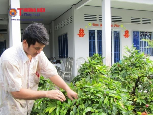 Làng mai Phước Định (Long Hồ - Vĩnh Long),Làng mai Phước Định