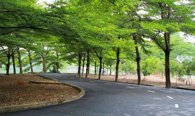 Khu du lịch sinh thái ngập tràn sắc xanh ngay từ lối vào,Khu du lịch Thủy Châu (Dĩ An - Bình Dương),Khu du lịch Thủy Châu