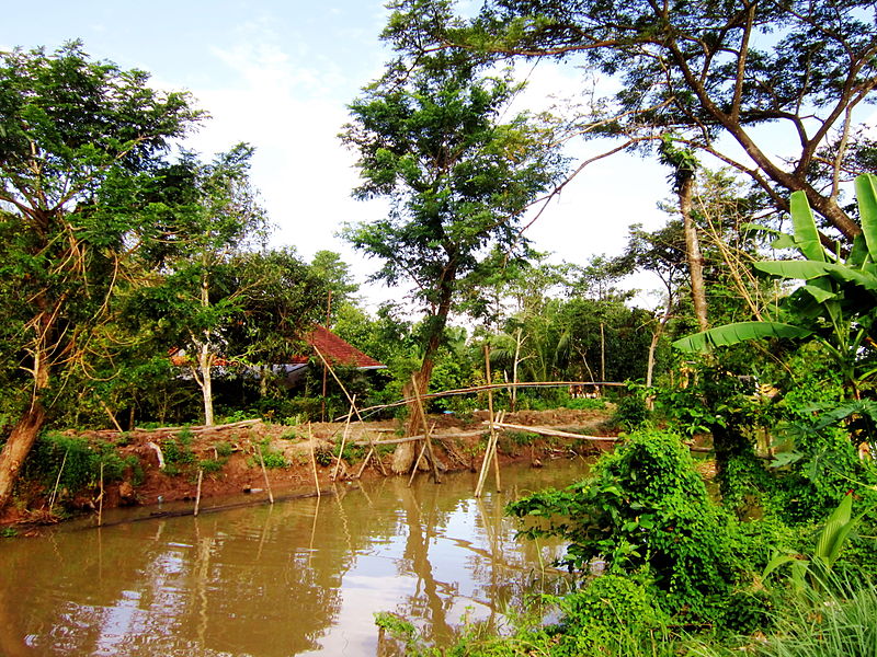 Cầu khỉ làm bằng cây gỗ tạp.