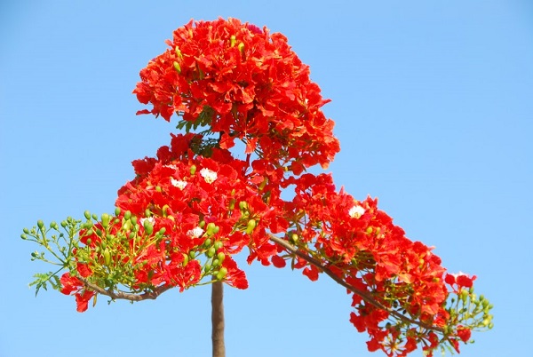 Giải thưởng Học kỳ 2 và tháng 5/2019,Giải thưởng tháng 5 năm 2019,Danh sách trao thưởng tháng 5 năm 2019,Tổng kết tháng 5 - 2019