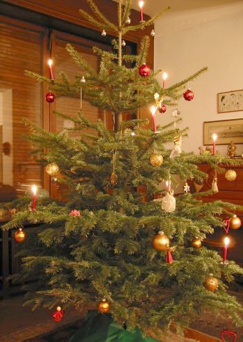 Cây Giáng sinh,cây thông Noel,cây thông Noel,cây thông Nô-en